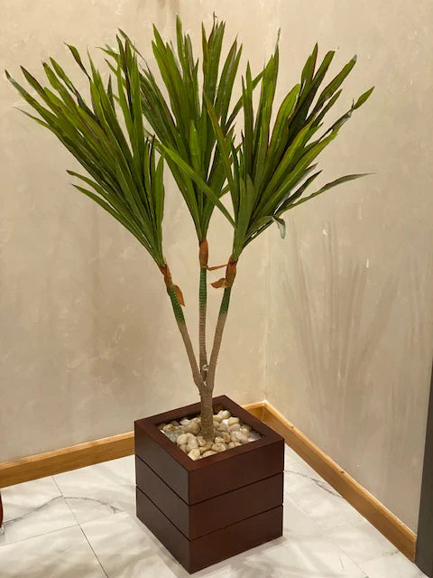 Plant Pot With Dracaena Tree - FL102