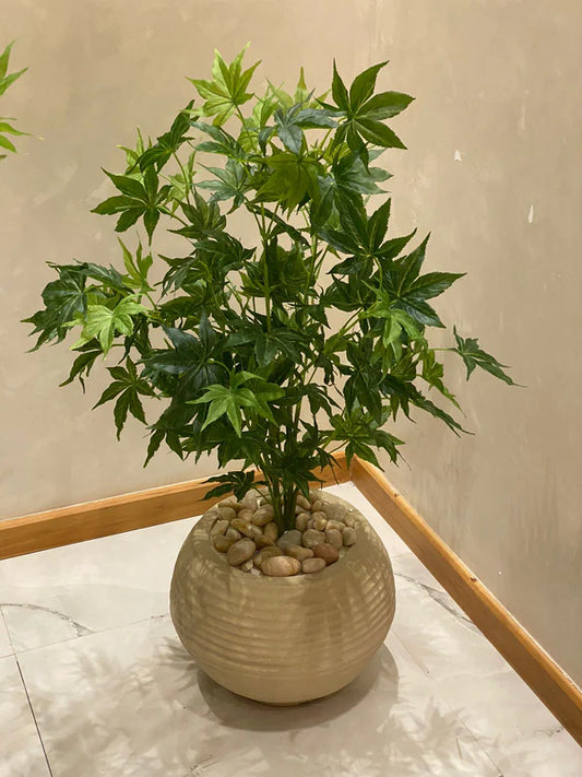 Castor Tree Plant Pot - FL99