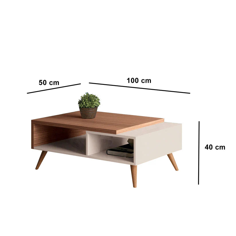 Coffee Table - 50x100cm - FNR377